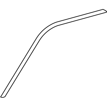 Ford 4L3Z-1503136-AA Side Molding