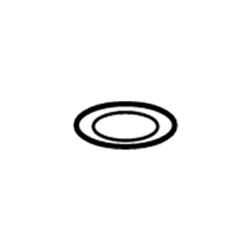 Ford -W702837-S300 Thermostat O-Ring