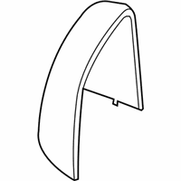 OEM Ford Transit Connect Mirror Cover - DT1Z-17D743-AA