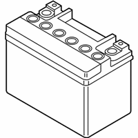 OEM Ford Battery - BHAGM-AUX1-A