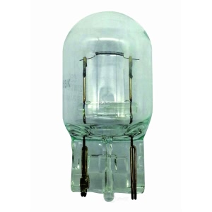 Hella 7440Ll Long Life Series Incandescent Miniature Light Bulb for Ford Transit Connect - 7440LL