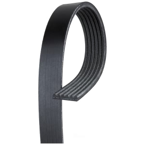 Gates Micro V V Ribbed Belt for Mercury Mountaineer - K060935