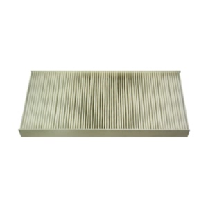 Hastings Cabin Air Filter for Ford Focus - AFC1111