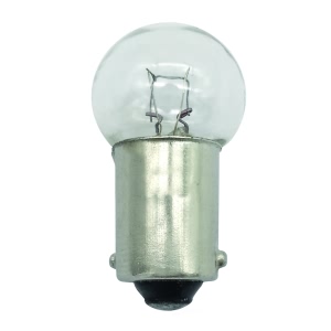 Hella 1895 Standard Series Incandescent Miniature Light Bulb for Mercury Montego - 1895