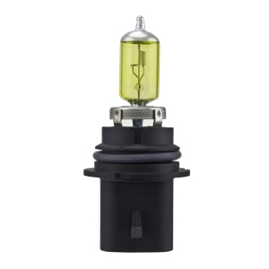 Hella Hb5 Design Series Halogen Light Bulb for Lincoln Blackwood - H71070622
