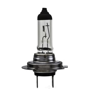 Hella H7 Standard Series Halogen Light Bulb for Ford Fusion - H7