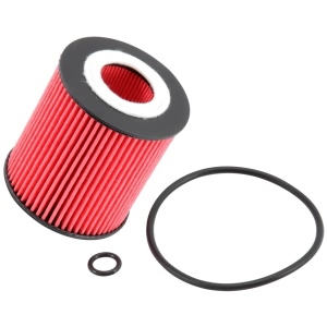 K&N Performance Silver™ Oil Filter for Ford EcoSport - PS-7013