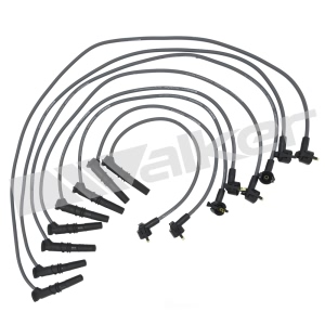 Walker Products Spark Plug Wire Set for Lincoln Town Car - 924-1403