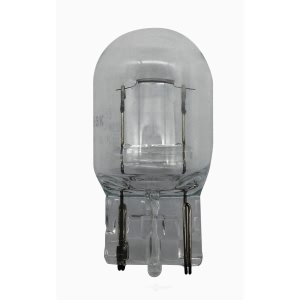 Hella 7440Tb Standard Series Incandescent Miniature Light Bulb for Ford Transit Connect - 7440TB