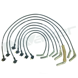 Walker Products Spark Plug Wire Set for Ford Explorer - 924-1518