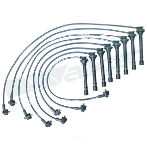 Walker Products Spark Plug Wire Set for Ford Mustang - 924-1479