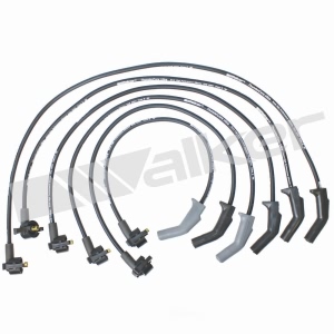 Walker Products Spark Plug Wire Set for Ford Thunderbird - 924-1376