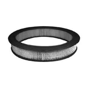 Hastings Air Filter for Lincoln Continental - AF33