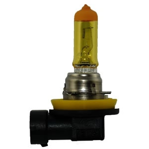 Hella Design Series Halogen Light Bulb for Lincoln MKT - H11 YL