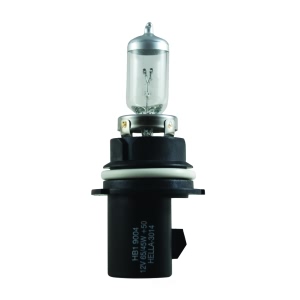 Hella 9004P50 Performance Series Halogen Light Bulb for Mercury Villager - 9004P50