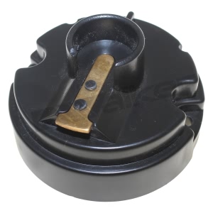 Walker Products Ignition Distributor Rotor for Ford - 926-1042