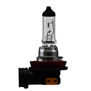 Hella H8 Standard Series Halogen Light Bulb for Ford Fusion - H8