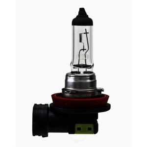 Hella H11Tb Standard Series Halogen Light Bulb for Ford Fusion - H11TB