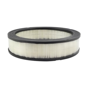 Hastings Air Filter for Lincoln Town Car - AF276