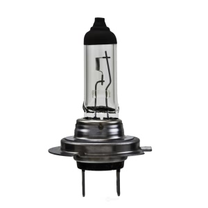 Hella H7Tb Standard Series Halogen Light Bulb for Ford Fusion - H7TB