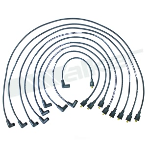 Walker Products Spark Plug Wire Set for Ford F-350 - 924-1824