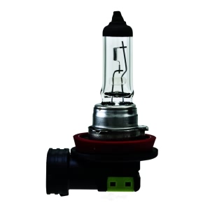 Hella H11 Standard Series Halogen Light Bulb for Lincoln LS - H11