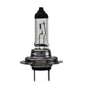 Hella H7Ll Long Life Series Halogen Light Bulb for Lincoln MKZ - H7LL