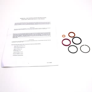 Delphi Diesel Fuel Injection Nozzle O Ring Kit for Ford F-350 Super Duty - HTP109