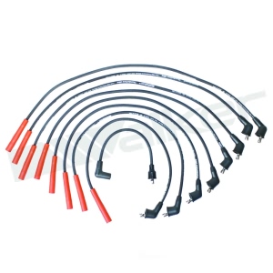 Walker Products Spark Plug Wire Set for Ford F-350 - 924-1600