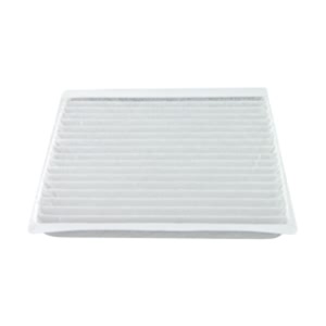 Hastings Cabin Air Filter for Ford Edge - AFC1345