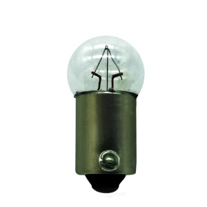 Hella Standard Series Incandescent Miniature Light Bulb for Mercury Lynx - 1445