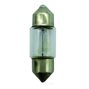Hella De3175 Standard Series Incandescent Miniature Light Bulb for Ford Aspire - DE3175