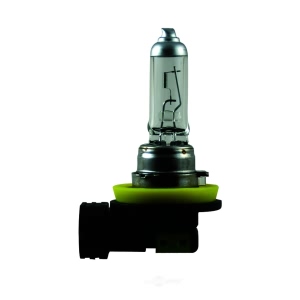 Hella H11P50 Performance Series Halogen Light Bulb for Lincoln Zephyr - H11P50
