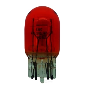 Hella Standard Series Incandescent Miniature Light Bulb for Lincoln MKC - 7443A